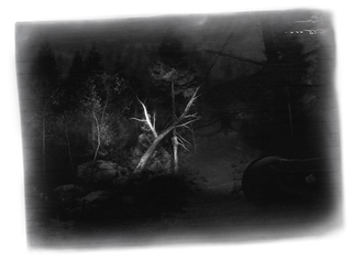 Illustration for article titled Slender Is Getting A Sequel With Better Graphics, More Scares